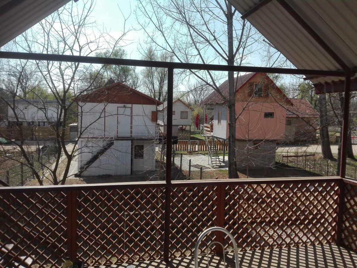 Mindszent Viziszony Tisza Nyaraloヴィラ エクステリア 写真
